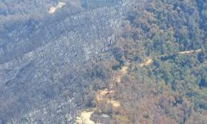 El fuego aún no se apaga: 12.300 hectáreas quemadas en El Maule [FOTOS]