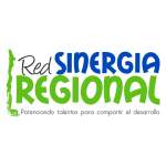 Imagen de Red Sinergia Regional